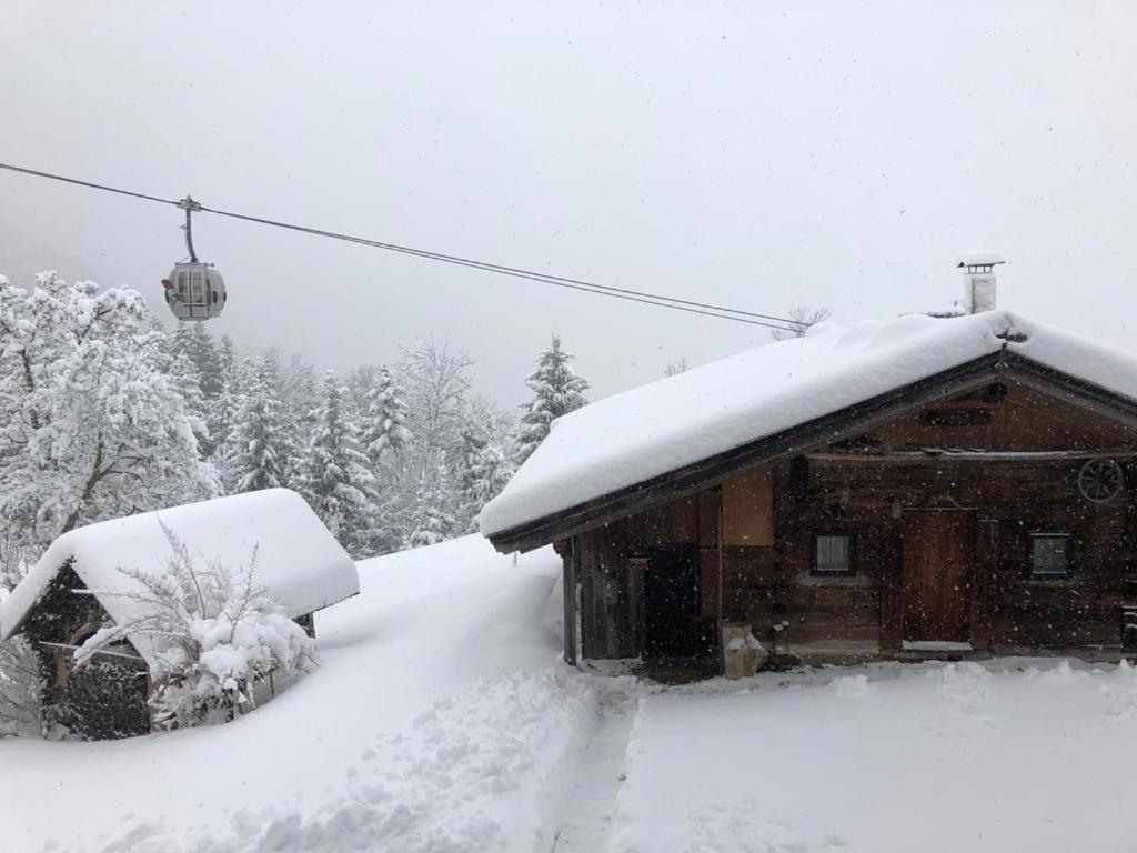 Apartament Woelzenberg Alm Reith im Alpbachtal Zewnętrze zdjęcie